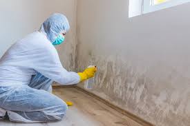 Mold Odor Removal Services in Belmont, CA