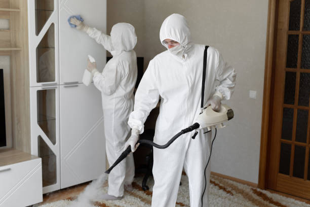 Why You Should Choose Our Mold Remediation Services in Belmont, CA